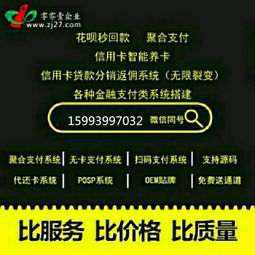 中介代还app软件系统模式什么 优势在哪里呢